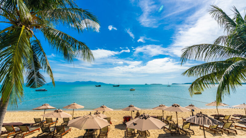 Beautiful tropical beach sea and ocean with coconut palm tree  and umbrella and chair on blue sky and white cloud for holiday vacation travel