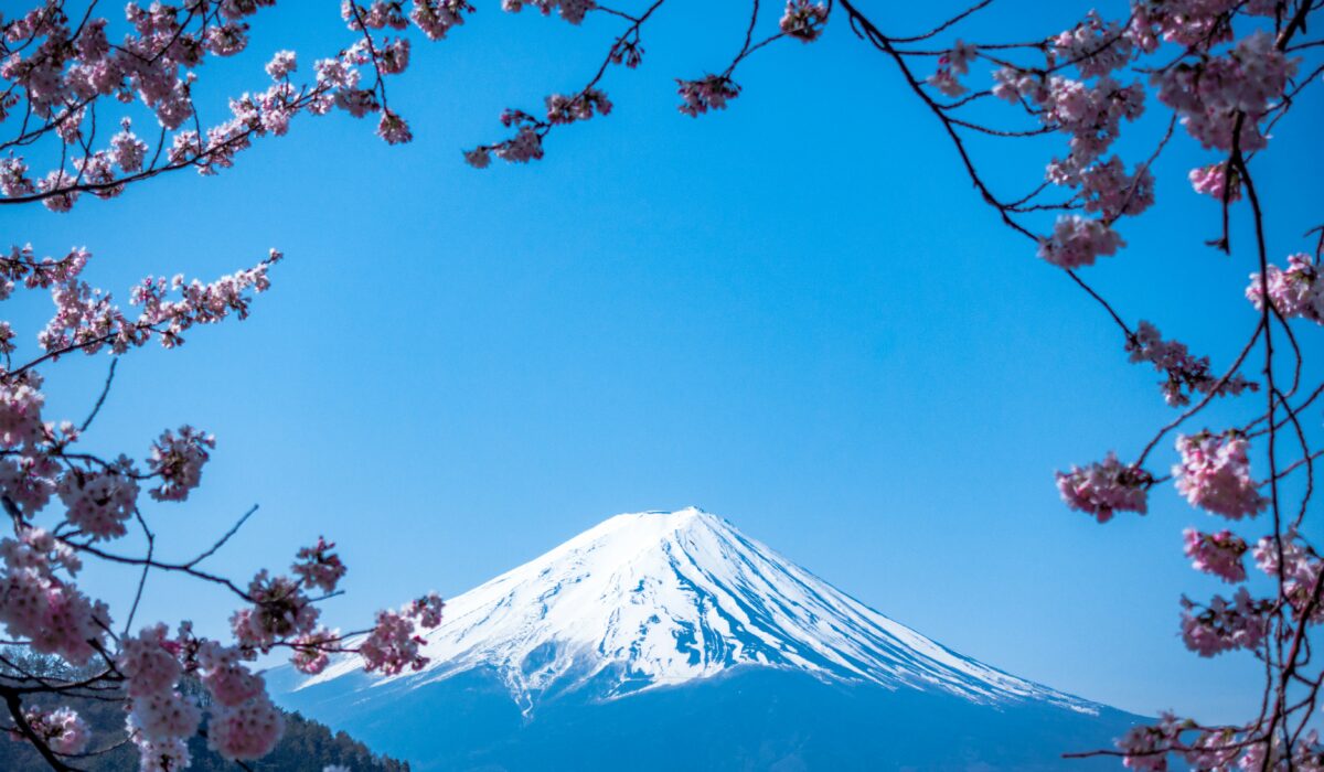 jj-ying-9Qwbfa_RM94-unsplash (1)