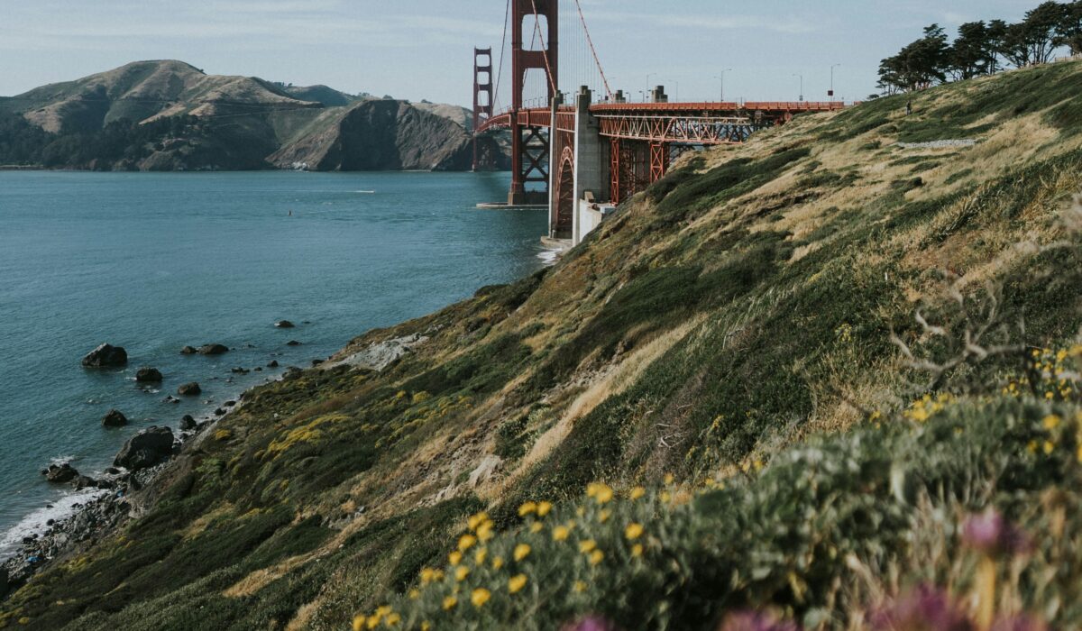 katie-drazdauskaite-V9AapMVptW8-unsplash