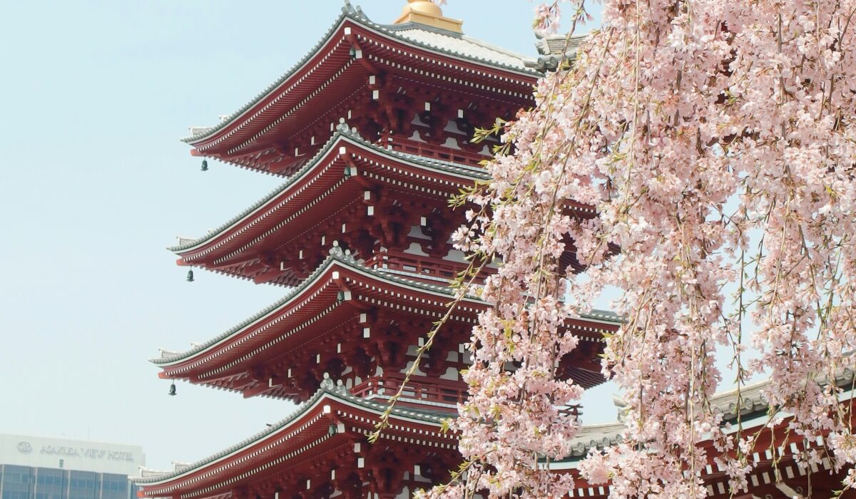 yu-kato-cddaZDt6uRw-unsplash