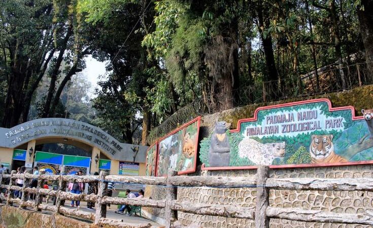 Padmaja Naidu Himalayan Zoological Park (Darjeeling Zoo)